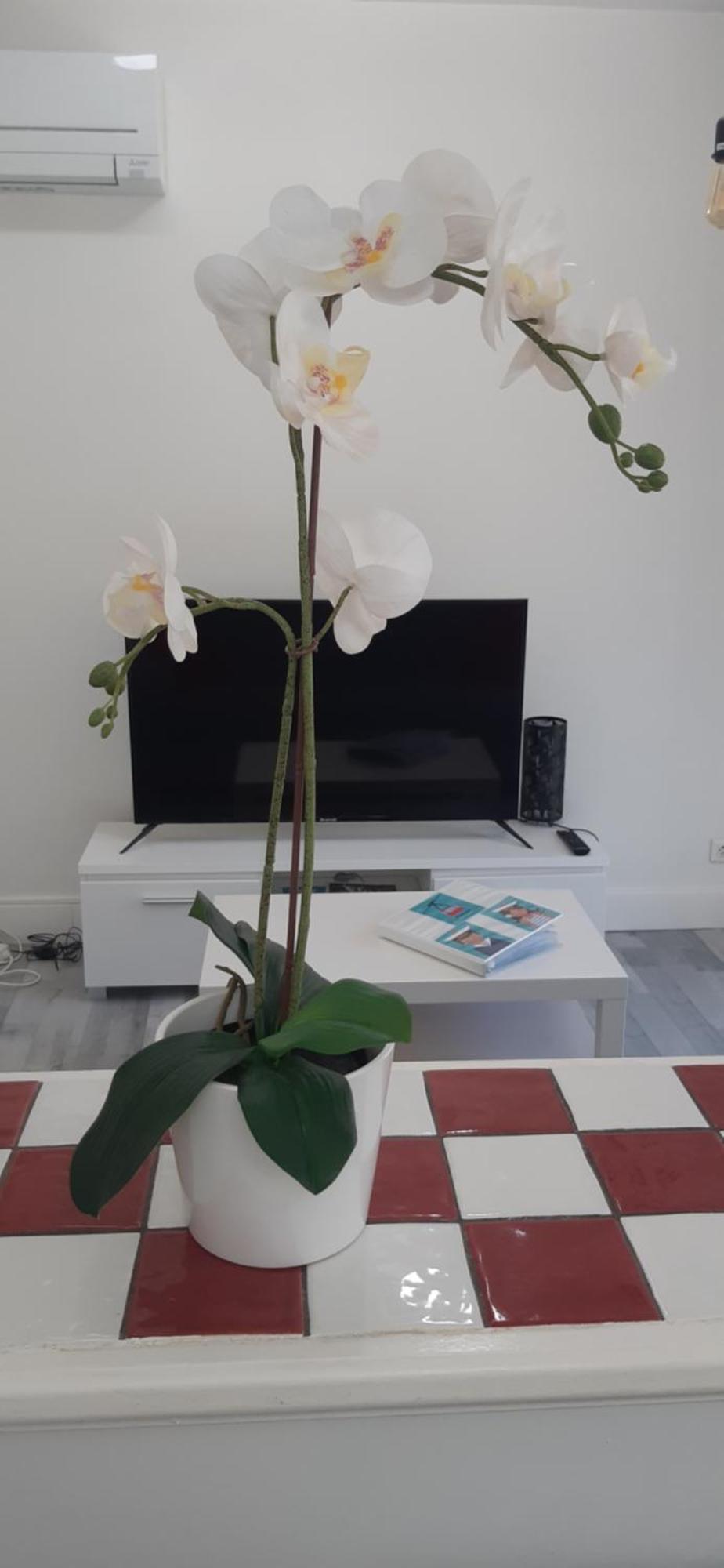 Logement Le Serein Τουλόν Εξωτερικό φωτογραφία